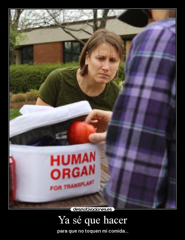 Ya sé que hacer - para que no toquen mi comida...