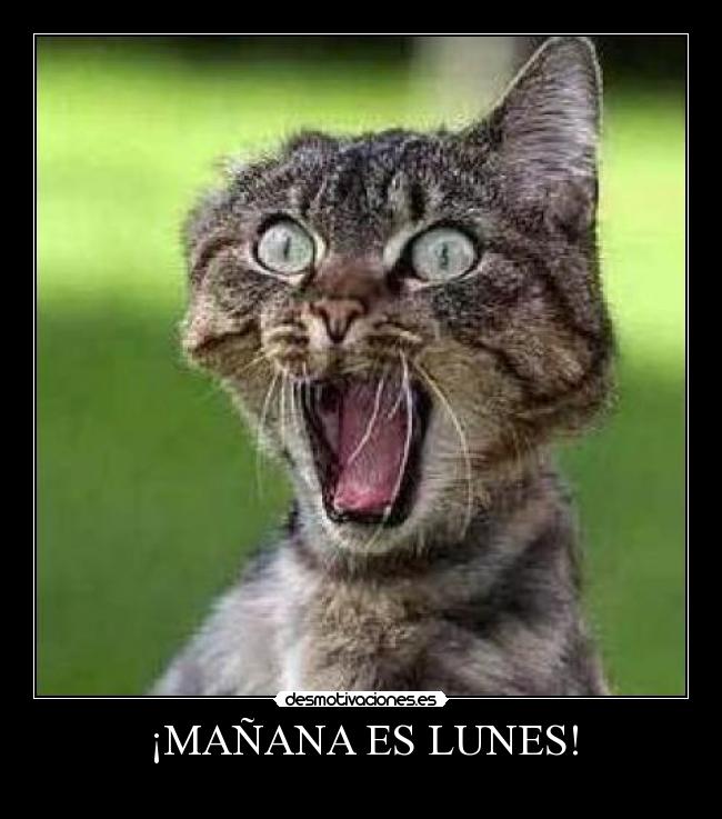 ¡MAÑANA ES LUNES! carteles MAÑANA LUNES desmotivaciones