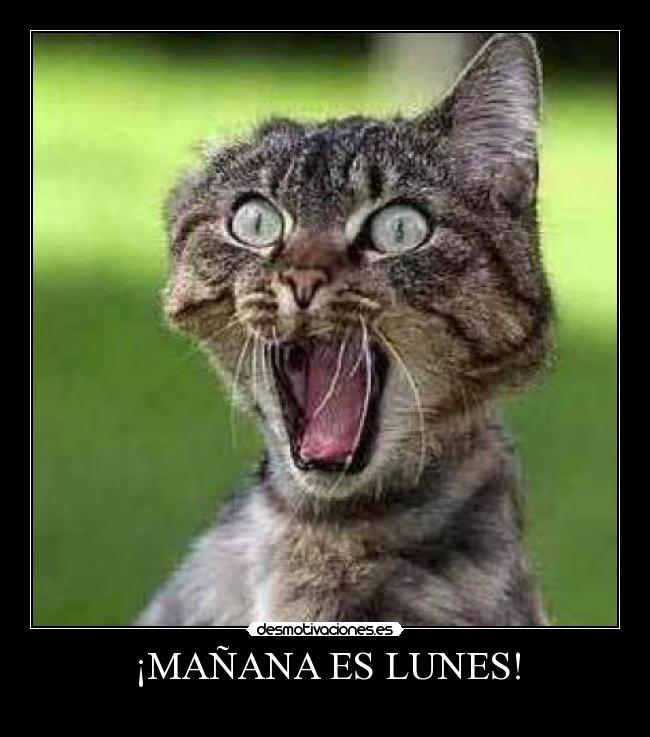 ¡MAÑANA ES LUNES! - 