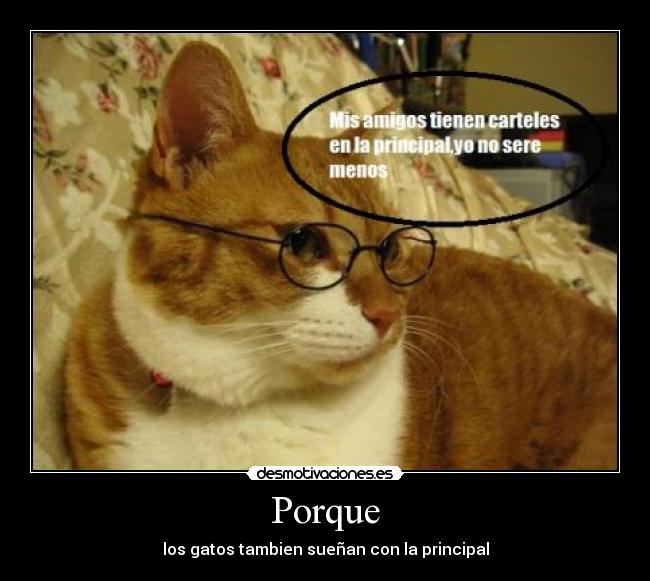 Porque - 