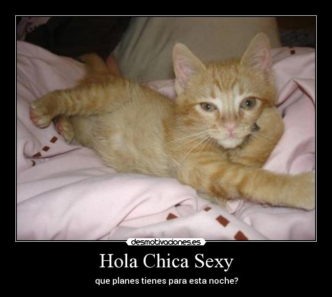 Hola Chica Sexy - 