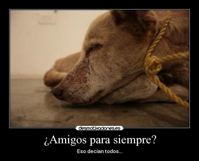 ¿Amigos para siempre? - Eso decían todos...