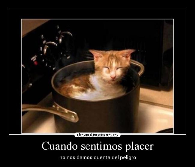 Cuando sentimos placer -