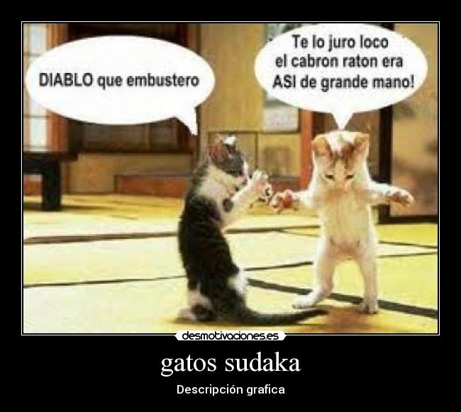 gatos sudaka - Descripción grafica