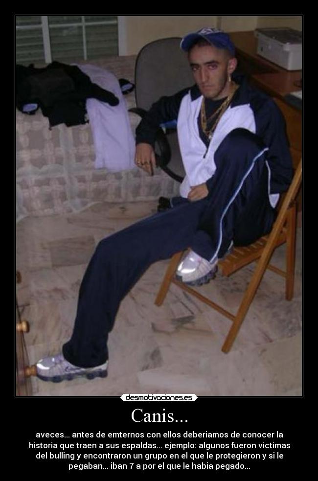 Canis... - aveces... antes de emternos con ellos deberiamos de conocer la
historia que traen a sus espaldas... ejemplo: algunos fueron victimas
del bulling y encontraron un grupo en el que le protegieron y si le
pegaban... iban 7 a por el que le habia pegado...