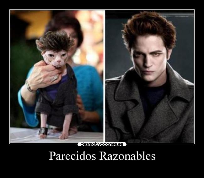 Parecidos Razonables -