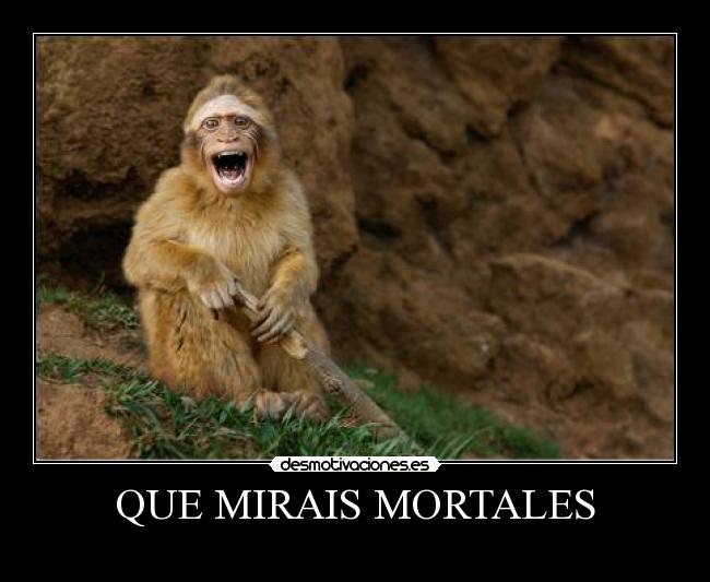 QUE MIRAIS MORTALES -