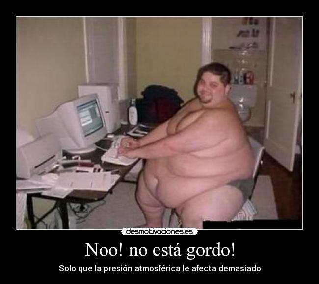 Noo! no está gordo! -