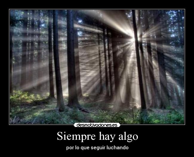 carteles luchando desmotivaciones