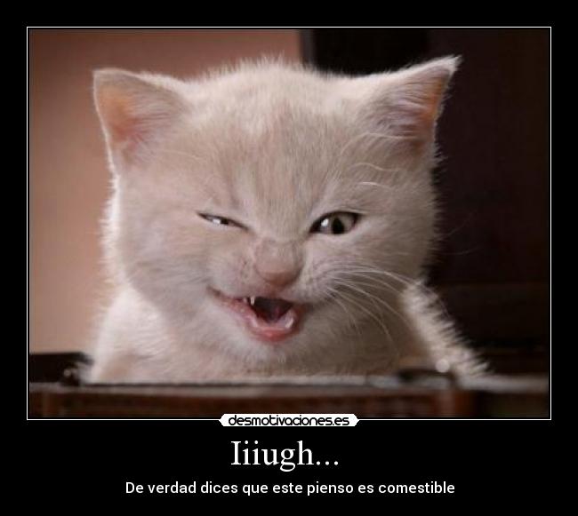 Iiiugh... - De verdad dices que este pienso es comestible