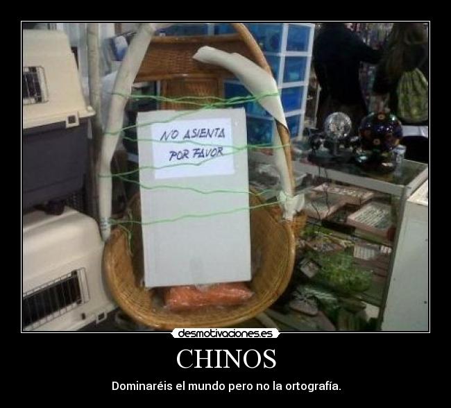 CHINOS - Dominaréis el mundo pero no la ortografía.