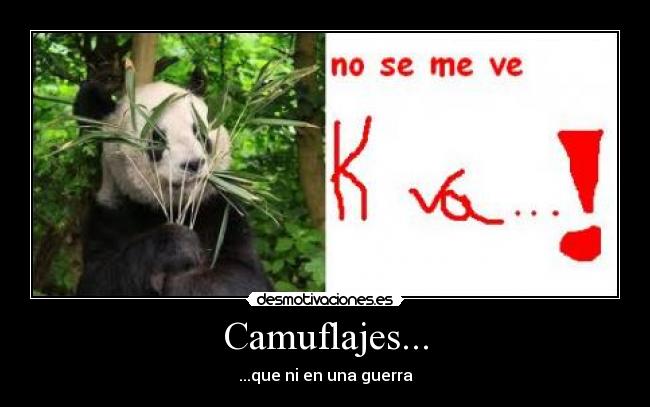 Camuflajes... - ...que ni en una guerra