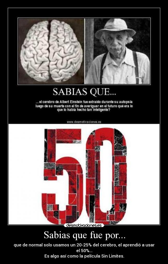 Sabias que fue por... - que de normal solo usamos un 20-25% del cerebro, el aprendió a usar el 50%...
Es algo así como la película Sin Limites.
