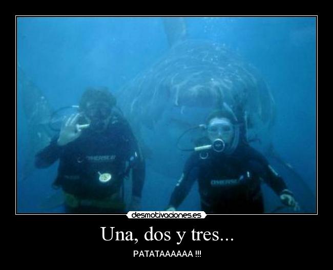 Una, dos y tres... - PATATAAAAAA !!!