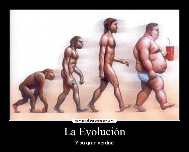 La Evolución -