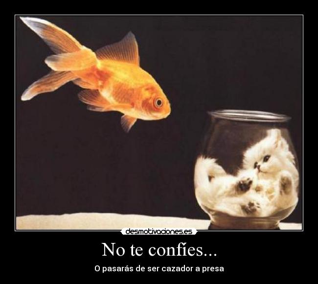 No te confíes... - 