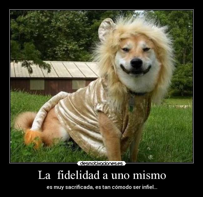 carteles fidelidad desmotivaciones