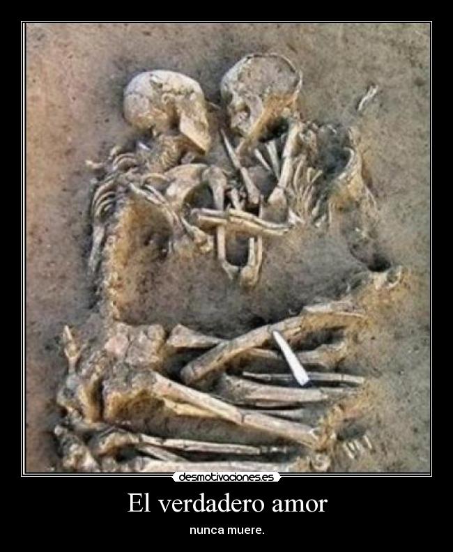 El verdadero amor -