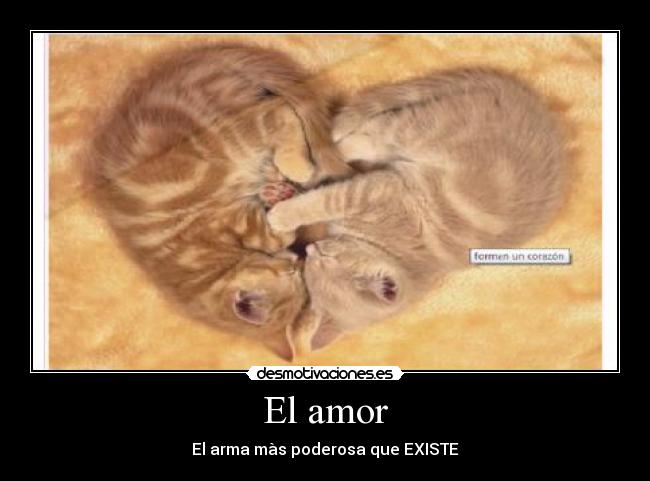 El amor -
