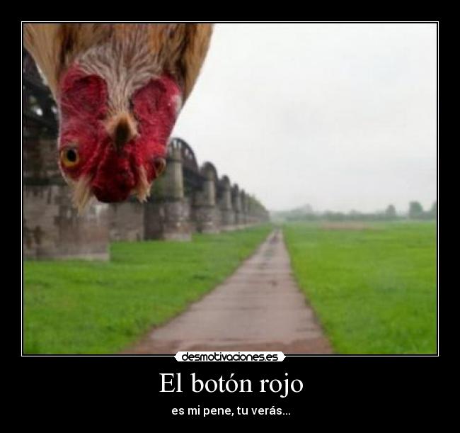 El botón rojo - es mi pene, tu verás...