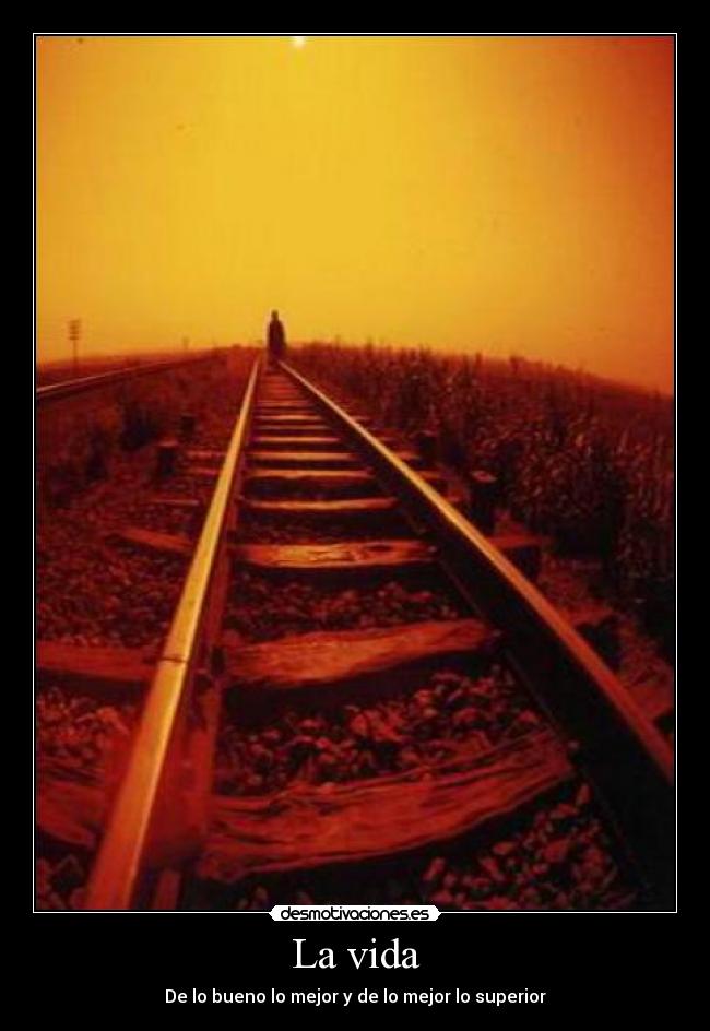 La vida - 