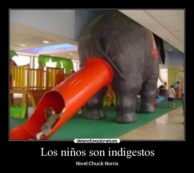 Los niños son indigestos - Nivel:Chuck Norris