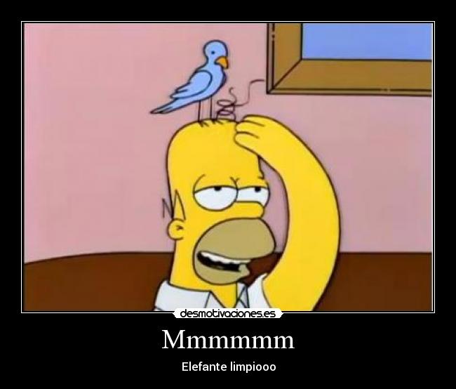 Mmmmmm - Elefante limpiooo