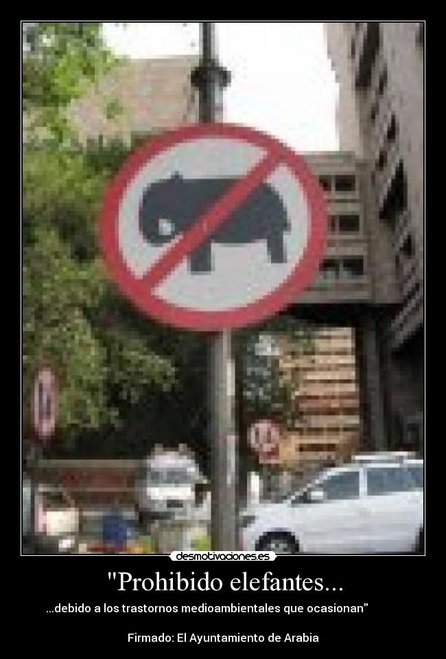 carteles elefantes desmotivaciones walt_k animales fuck yeah fuuuuuuuuuuu troll desmotivaciones