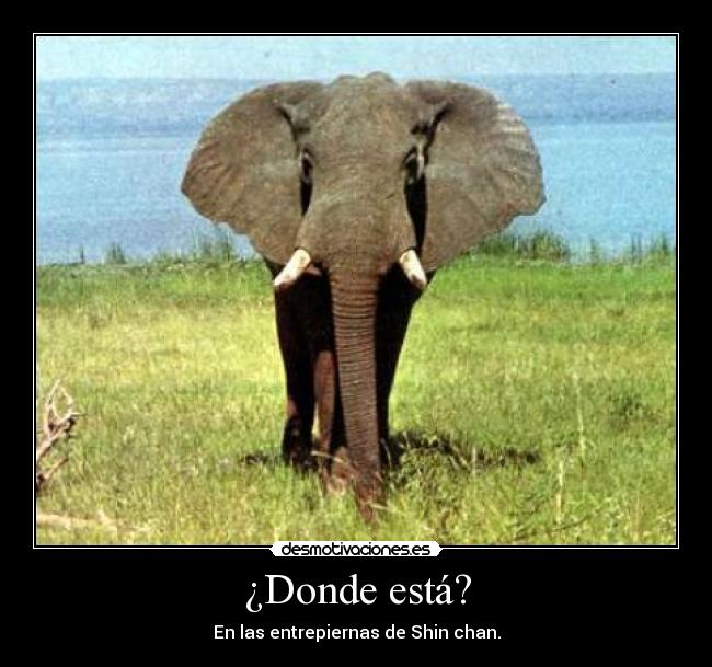 ¿Donde está? - 