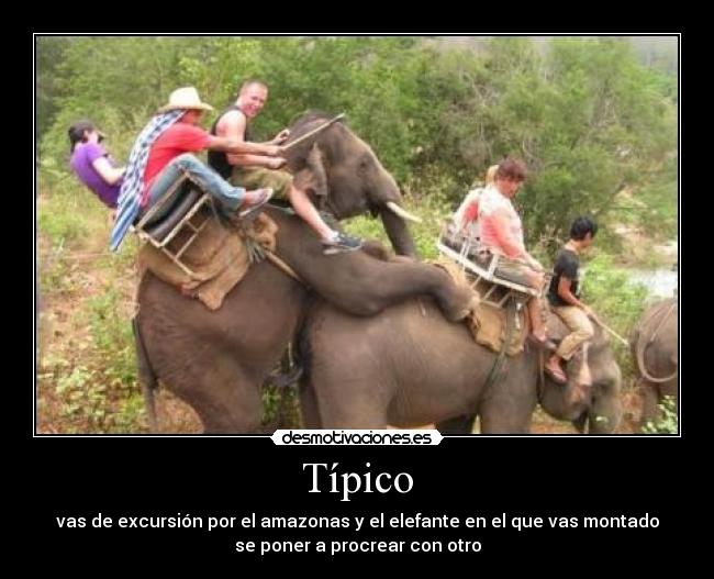 Típico - 