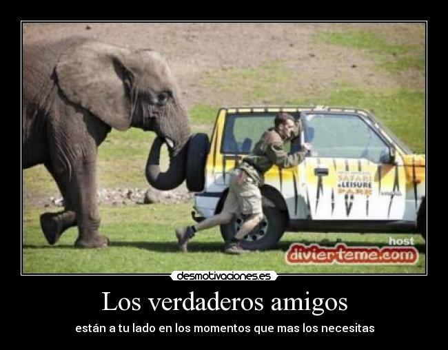 Los verdaderos amigos - están a tu lado en los momentos que mas los necesitas