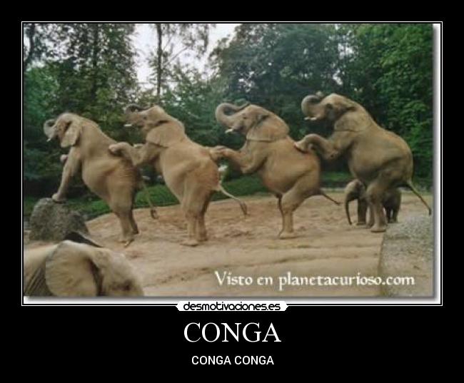 CONGA - 