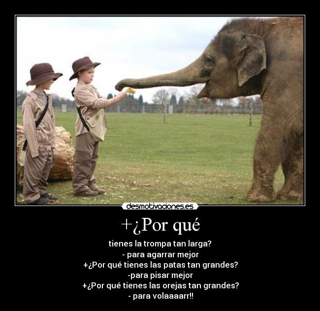 +¿Por qué - tienes la trompa tan larga?
- para agarrar mejor
+¿Por qué tienes las patas tan grandes?
-para pisar mejor
+¿Por qué tienes las orejas tan grandes?
- para volaaaarr!!
