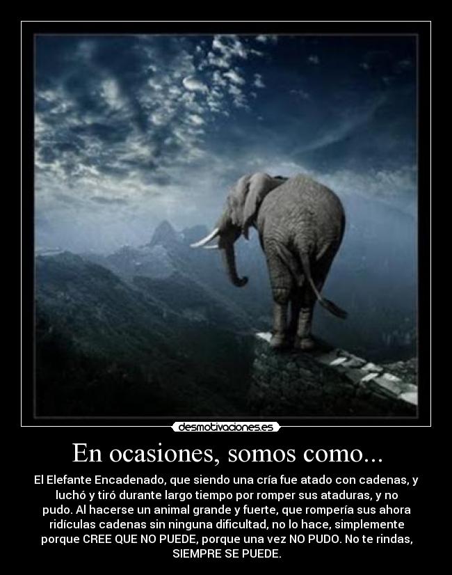 En ocasiones, somos como... - 