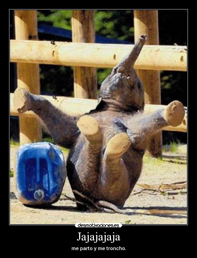 Jajajajaja - me parto y me troncho.