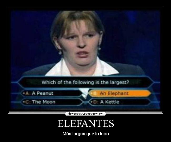 ELEFANTES - Más largos que la luna