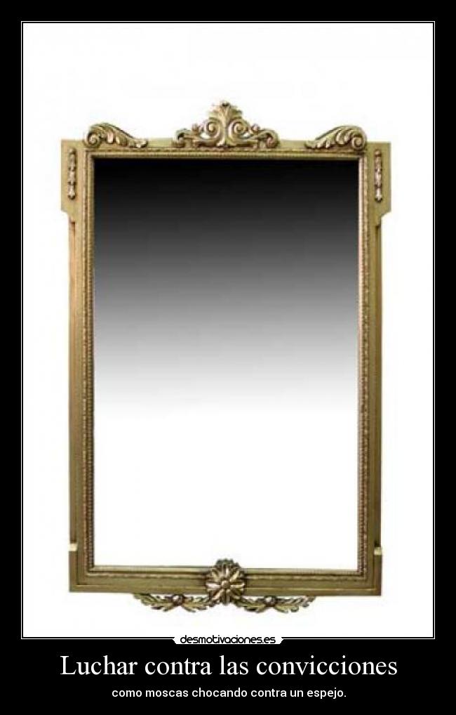 Luchar contra las convicciones - como moscas chocando contra un espejo.