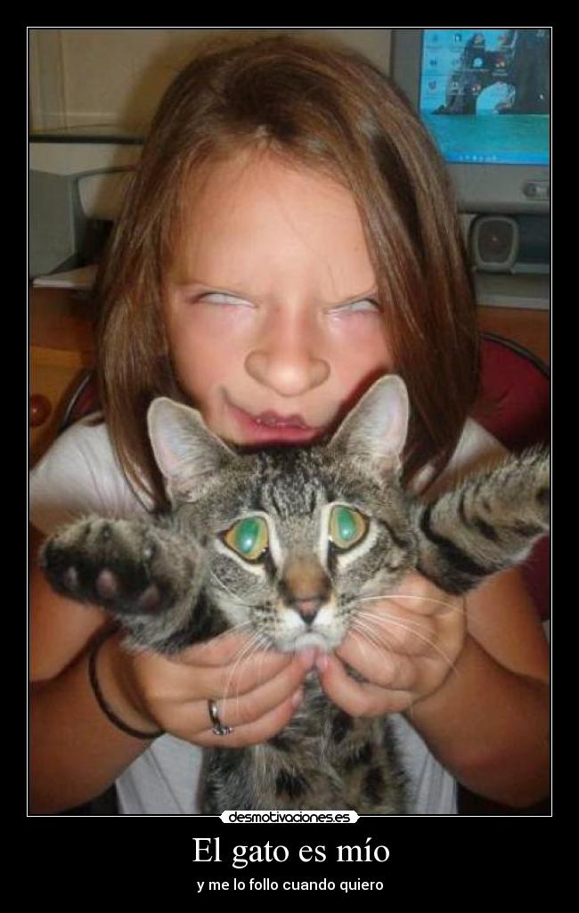 El gato es mío - 