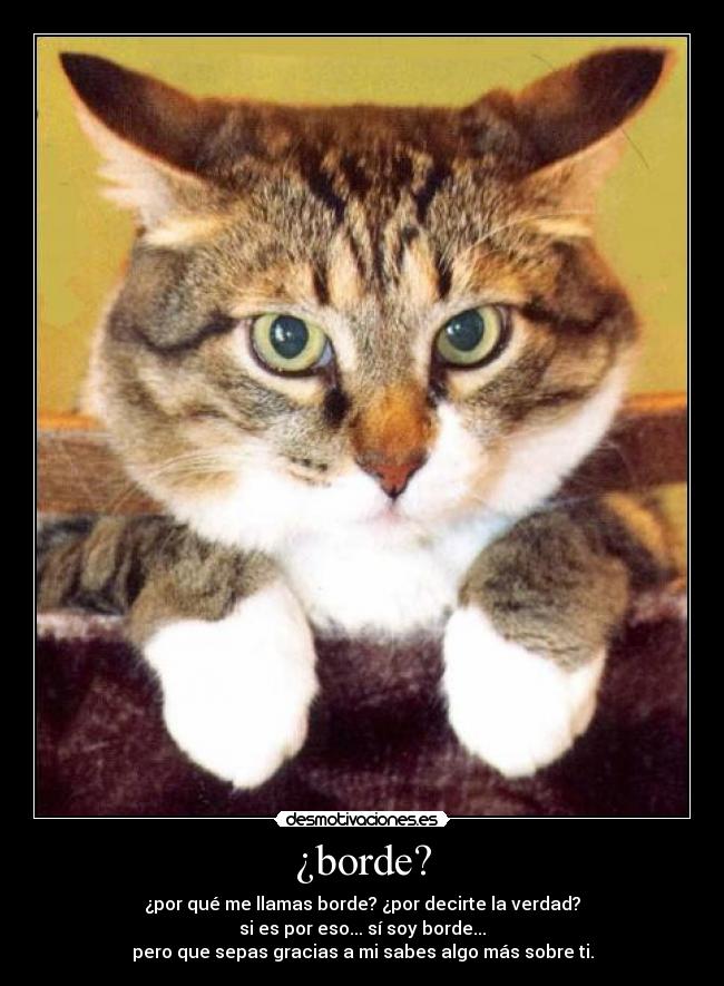 ¿borde? - 