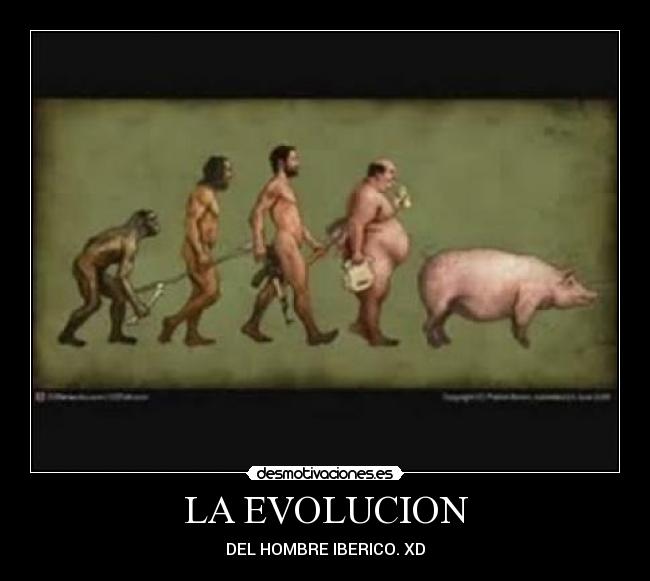 LA EVOLUCION -