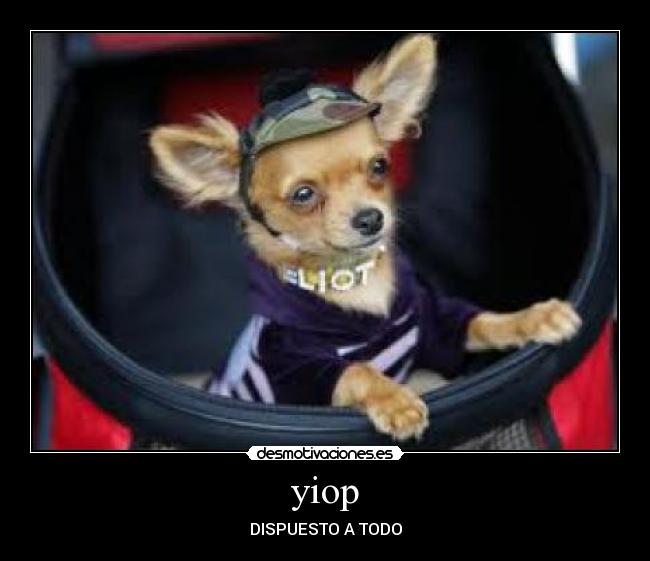 yiop - DISPUESTO A TODO