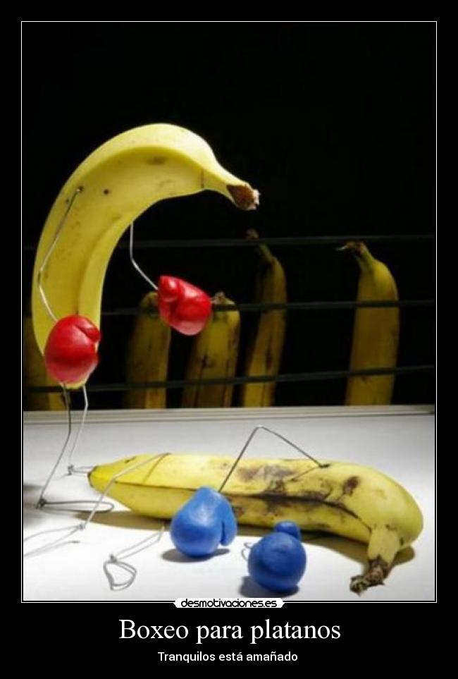 Boxeo para platanos - Tranquilos está amañado