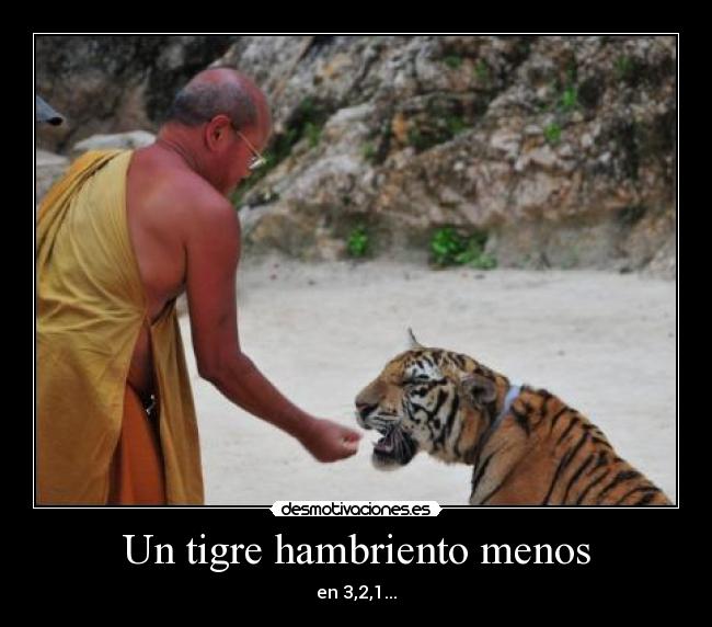 Un tigre hambriento menos -