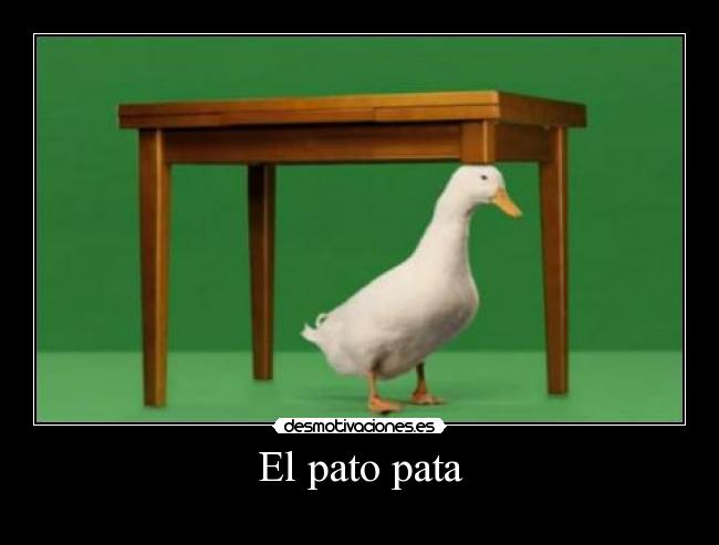 El pato pata -