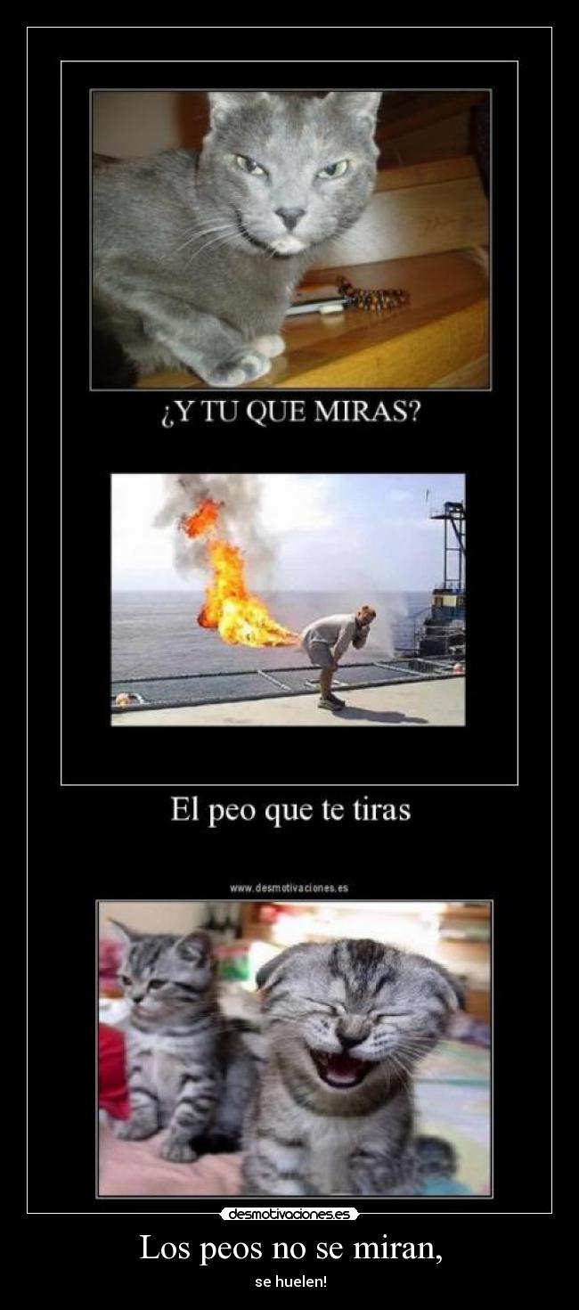 Los peos no se miran, - se huelen!