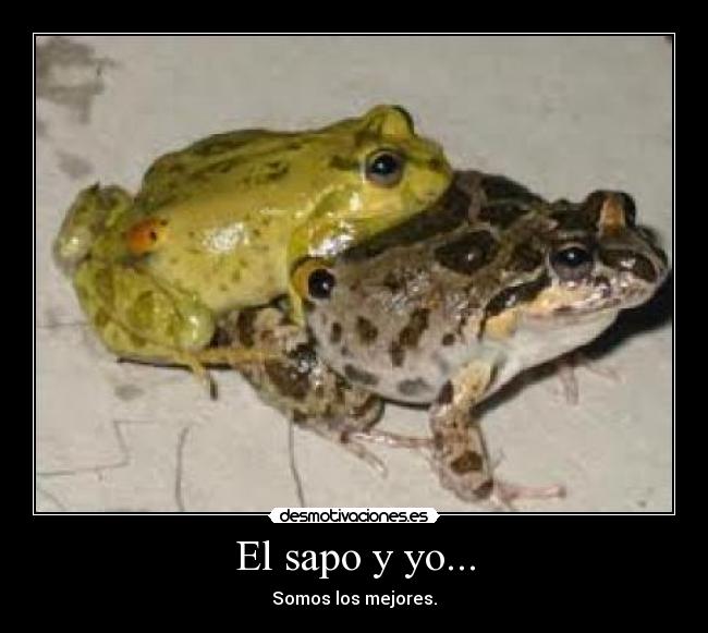 El sapo y yo... - 