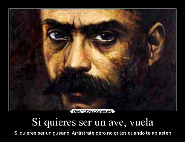 Si quieres ser un ave, vuela - Si quieres ser un gusano, Arrástrate pero no grites cuando te aplasten