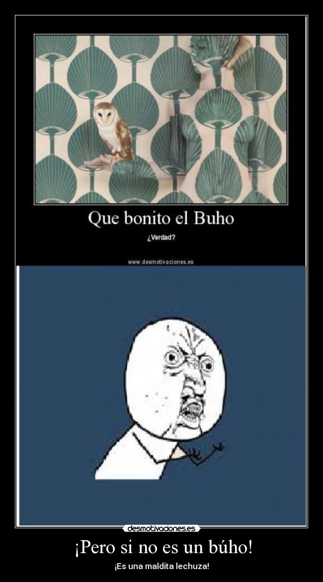 ¡Pero si no es un búho! - ¡Es una maldita lechuza!