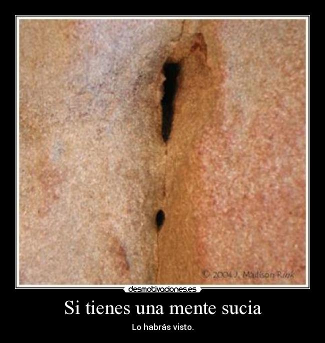 carteles tienes una mente sucia desmotivaciones