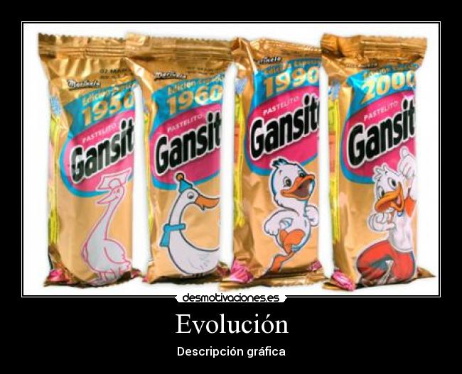 Evolución - 